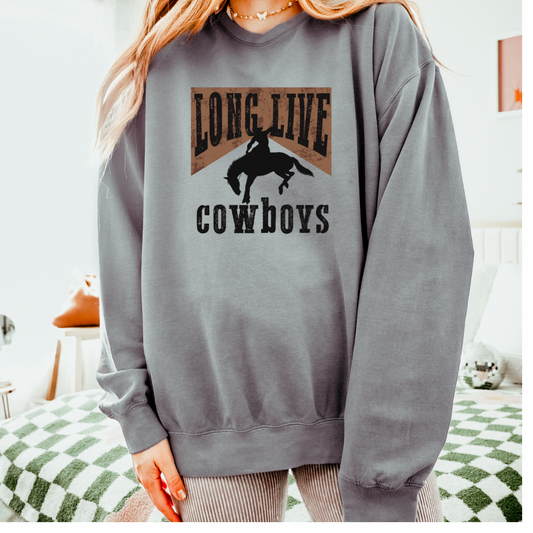 Save A horse ride a cowboy